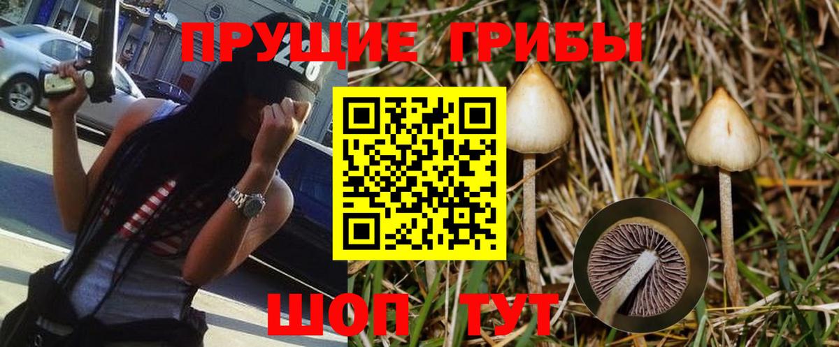 Кандалакша  Псилоцибиновые грибы Magic Shrooms  Галлюциногенные грибы Psilocybine cubensis  Вход с VPN 