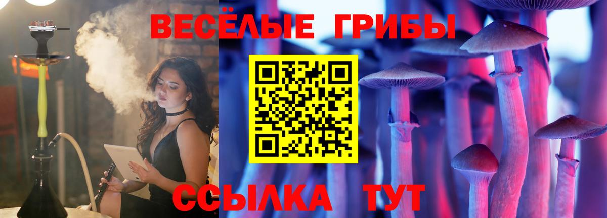 Псилоцибиновые грибы GOLDEN TEACHER Кандалакша